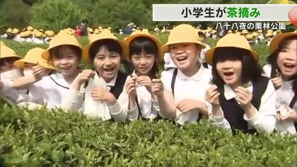 ５月１日は八十八夜…高松市の栗林公園にある”県内最古”の茶畑で小学生が茶摘み体験【香川】　