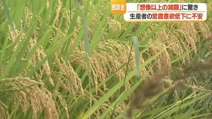 「小規模の人はコメ作り続ける気力なくなる」　概算金の減額…生産者の受け止め　山形