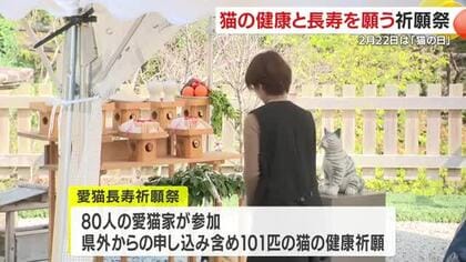 「猫の日」に長寿を祈願　鹿児島