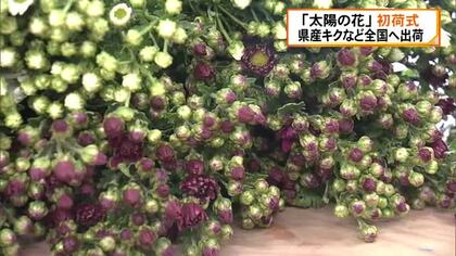 「太陽の花」初荷式 今年一年の県産花の消費拡大を祈願 初競りに向け全国の市場へ出荷