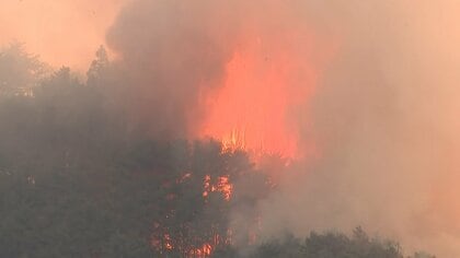 岩手・大槌町の山林火災延焼中　避難指示の対象約2600人に拡大　住宅まで100mに迫る　地上では24時間体制で消火活動