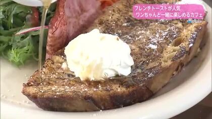 ワンちゃんと一緒に楽しめるカフェ【トレリン】