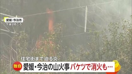 【なぜ】愛媛・岡山の山火事で住宅などに被害…韓国では死者も　相次ぐ山林火災は地球温暖化「負の連鎖」が背景か