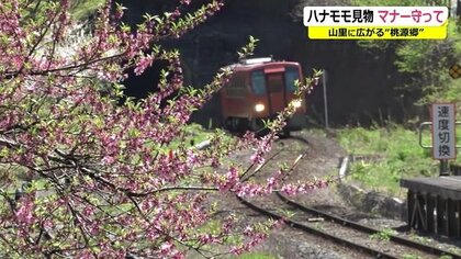 “桃源郷”目指し200台が大渋滞…住民は買い物にも出られず 地元団体が対策に乗り出す【福井発】