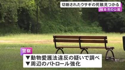 “頭だけ”の状態で複数の傷…公園で切断されたウサギの死骸見つかる 先週は400m程先の公園等に子ネコ等の死骸