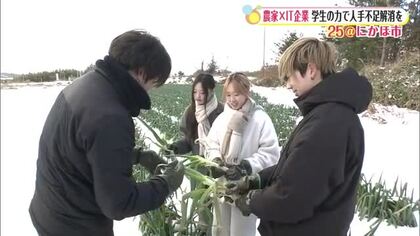 学生の力で農繁期の人手不足解消を　農業法人とIT企業が仕掛ける農業体験プログラム　秋田・にかほ市