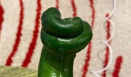 今度は「ソフトクリーム型」！？仙台でまた“曲がりすぎキュウリ”発見　投稿者「目を疑った」