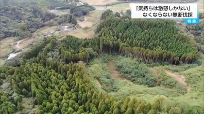 「気持ちは激怒しかない」なくならない無断伐採　現場で見た実態