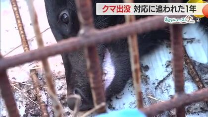 《あのニュースの今2025》クマ出没　対応に追われた1年・自治体ごとに新たな取り組みも始まる　山形