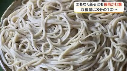 長雨の影響でソバが不作に　収穫量は去年の３分の１の見込み　新そばの季節を前にそば店は頭抱える〈宮城〉