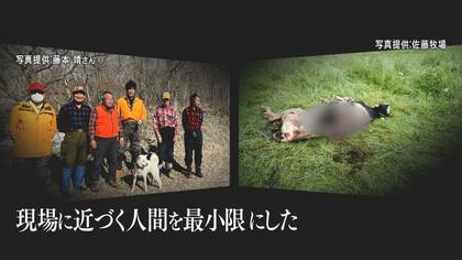 人間が作り出したモンスター」“忍者グマ”「OSO18」を生み出した人間の