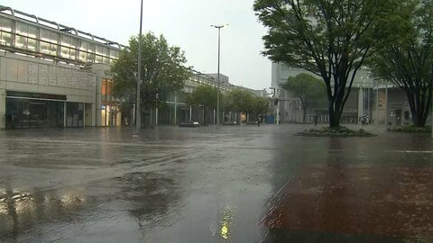 台風6号　東京・神奈川で臨時休校相次ぐ　東京の7区で区立小・中学校の休校決定　神奈川は県立高校30校が休校　“検討中”他の自治体も