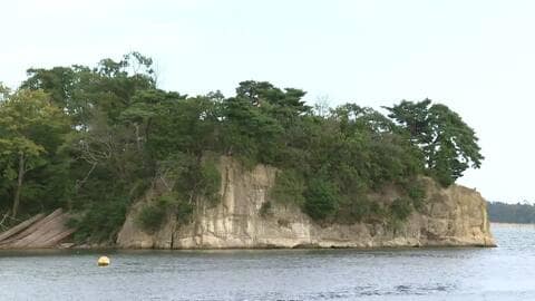 「クマが泳いでいる」宮城・塩釜市の無人島にクマ上陸　陸地から泳いできたか　市内で目撃相次ぎ同一個体か