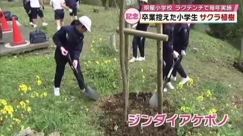 卒業を控えた児童がラクテンチで桜を植樹「大人になっても咲いていて」大分