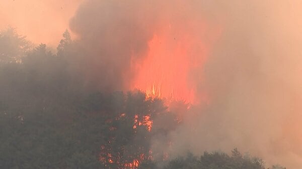 岩手・大槌町の山林火災延焼中　避難指示の対象約2600人に拡大　住宅まで100mに迫る　地上では24時間体制で消火活動｜FNNプライムオンライン
