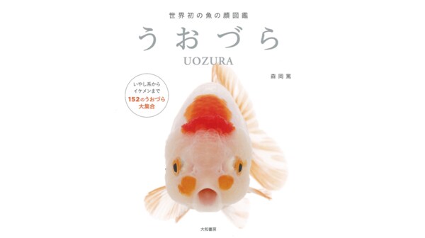 魚の正面顔 うおづら がかわいい こんな表情をどうやったら撮れるのか聞いてみた