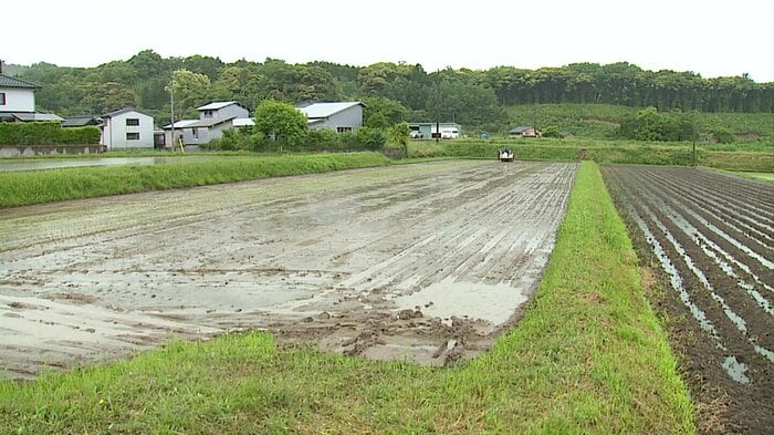 鳥取市長柄地区 川口さんの栽培面積は8倍に拡大。