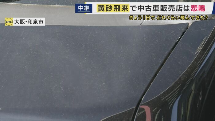 目視ではっきりわかるほど黄色みがかった砂