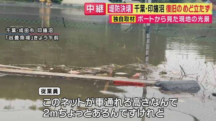 鳥よけのネットに魚の姿が