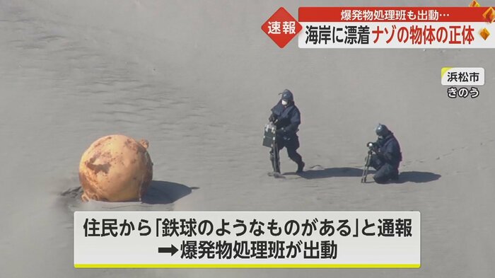 2月21日、静岡県浜松市の海岸で見つかった