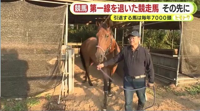 馬をひく高橋嘉徳さん
