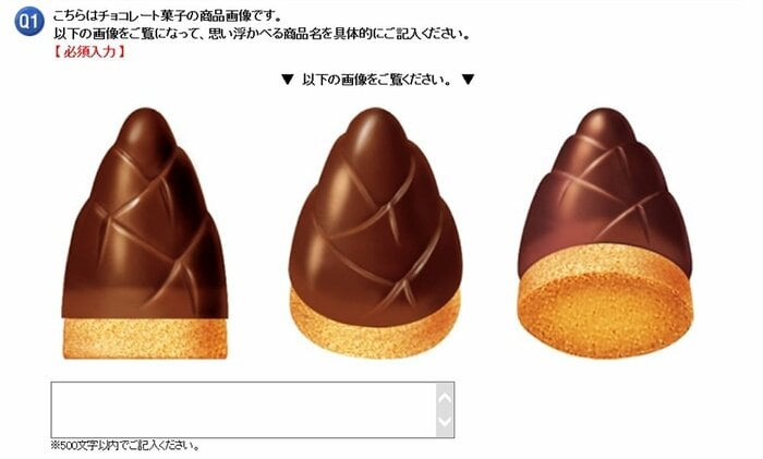 アンケート調査画面(提供:株式会社 明治)