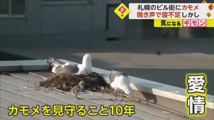 (FNN投稿サイト「ビデオPost」)