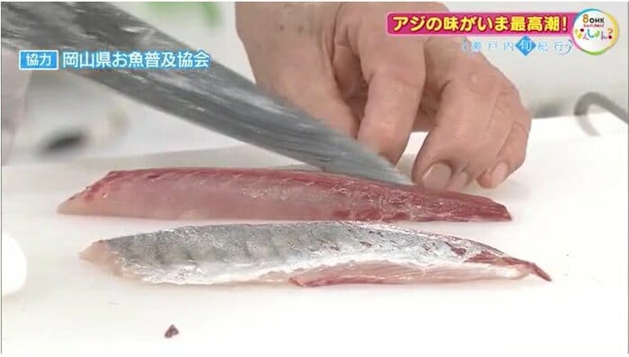 背側の赤みと腹側の白さ
