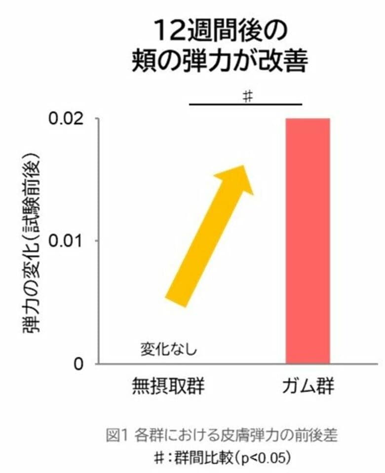 継続的なガム咀嚼トレーニングを実施することにより、肌（頬）の弾力が改善することを確認！