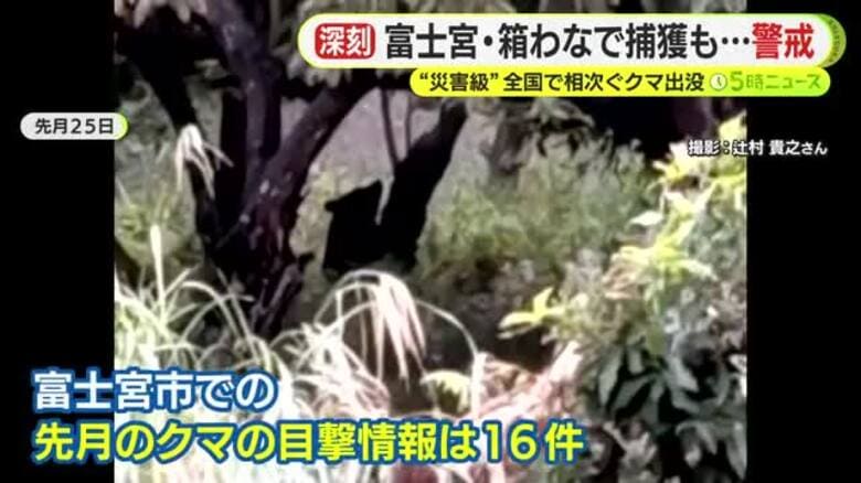 “災害級”全国で相次ぐクマ出没　富士宮市では箱わなを設置した2日後に捕獲も…翌日には小学校の校庭に”足跡”｜FNNプライムオンライン