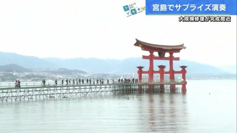 一般開放された工事用の足場で、大鳥居まで歩く観光客