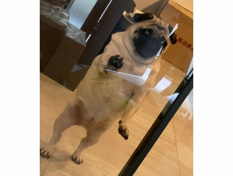 提供：よこむすびさん