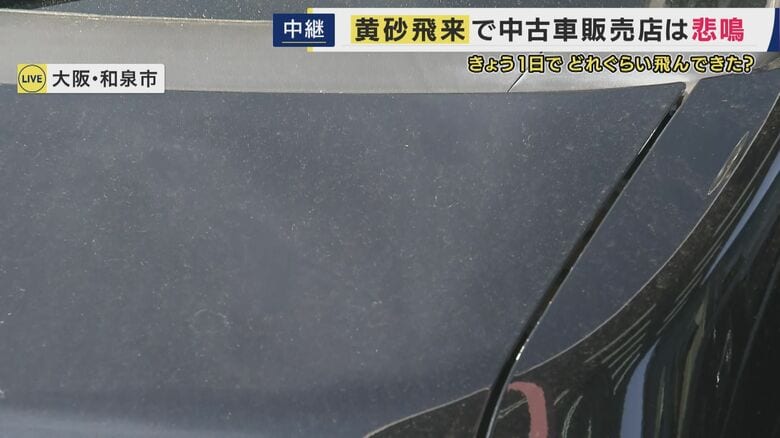 目視ではっきりわかるほど黄色みがかった砂