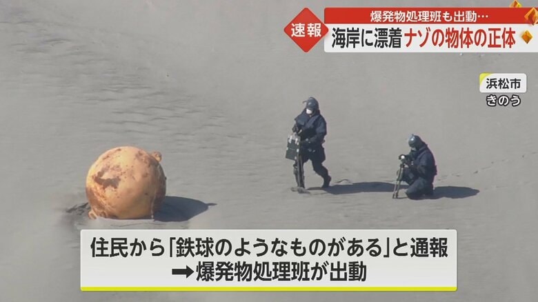 2月21日、静岡県浜松市の海岸で見つかった