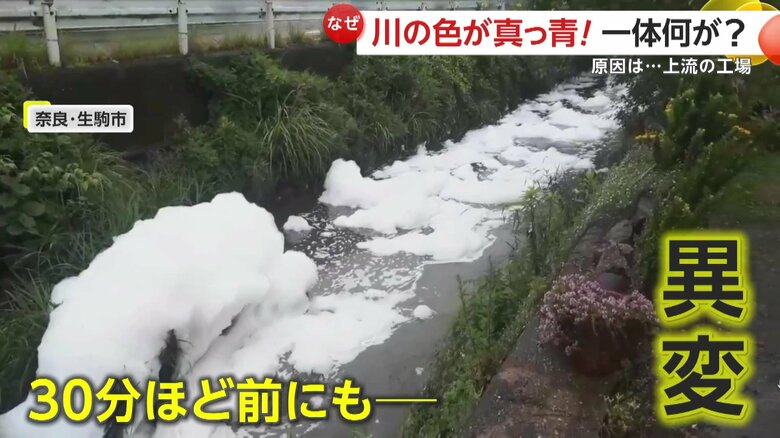 真っ青に染まった川を撮影する30分前に起きていた川の異変