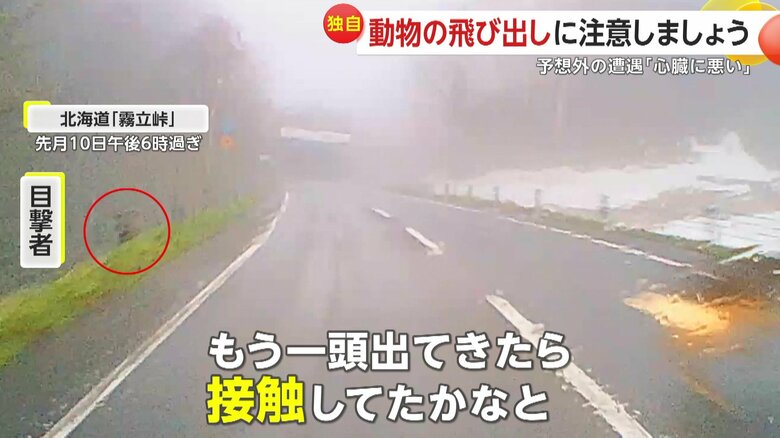 「もう一頭出てきたら接触してたかなと」と振り返っている撮影者