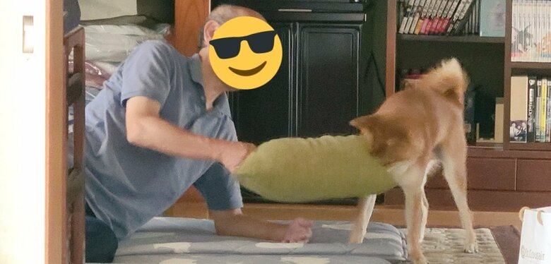 昼寝クッションの取り合い（提供：犬さん）