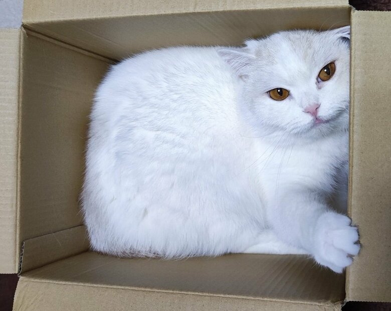 「あーまた入っているなー」