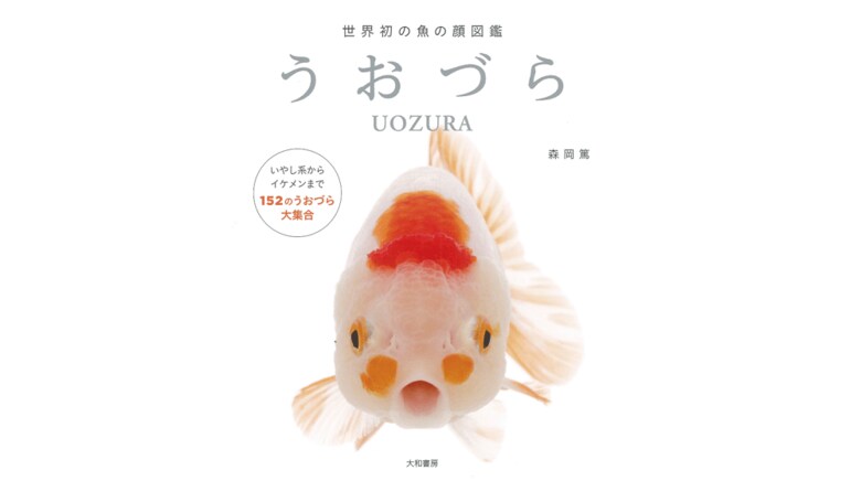 魚の正面顔“うおづら”がかわいい…こんな表情をどうやったら撮れるのか聞いてみた