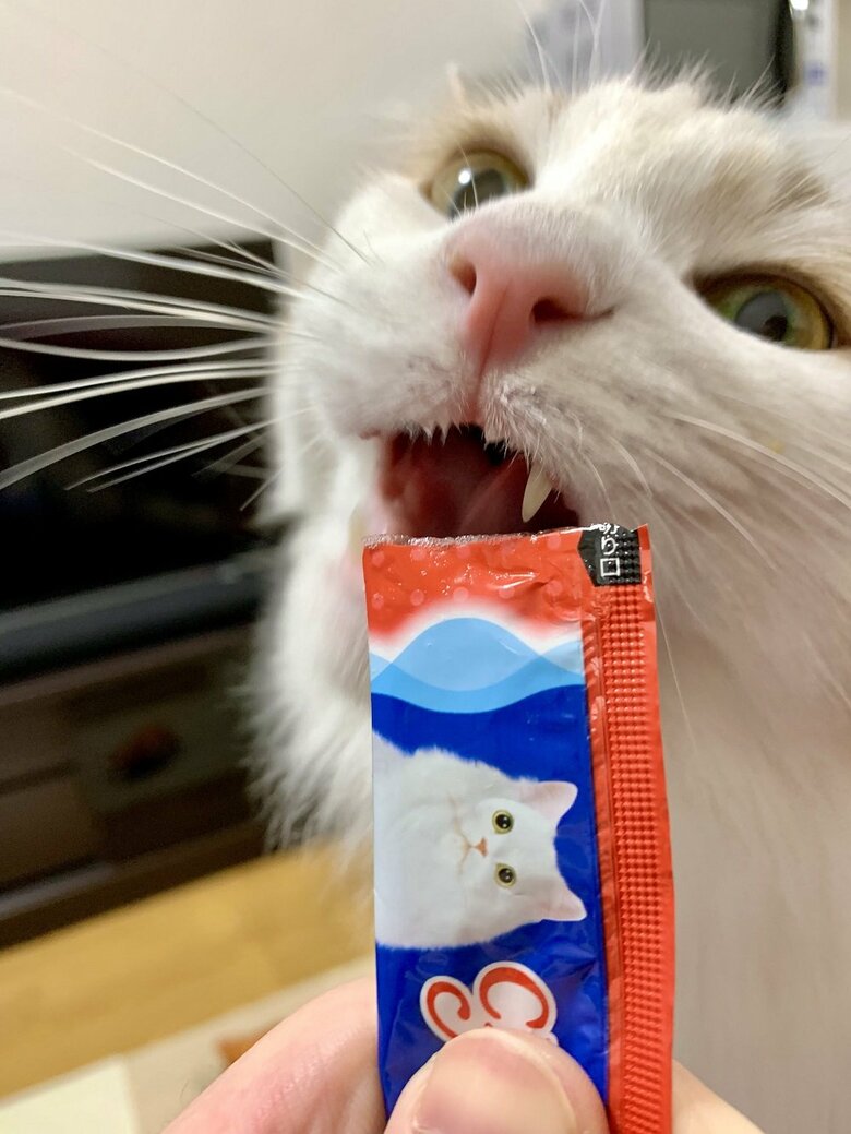 ちゅ～るうめえ！