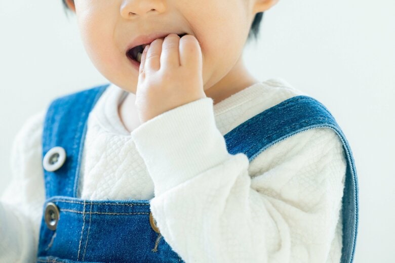噛む力を育むことも災害時の備えに（イメージ）
