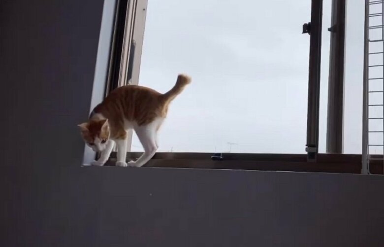 窓際の行き止まりまで行き…