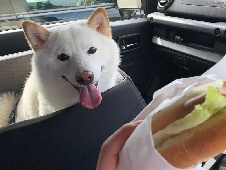 提供：ラッキーさん