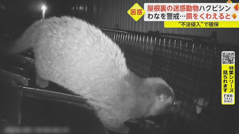 わな設置から1週間後の午前3時過ぎ、画面の左端に何かが…