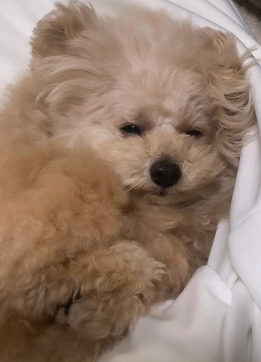 提供：＠tsuru_323さん