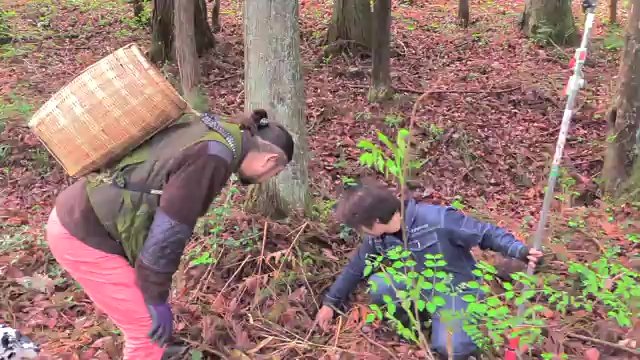 天然食材ハンター・小豆畑とともに