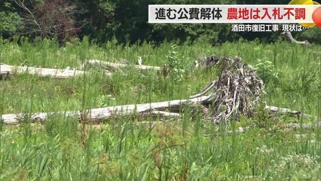 1年が経っても、大雨で流されてきた流木が田んぼの中でそのままになっている