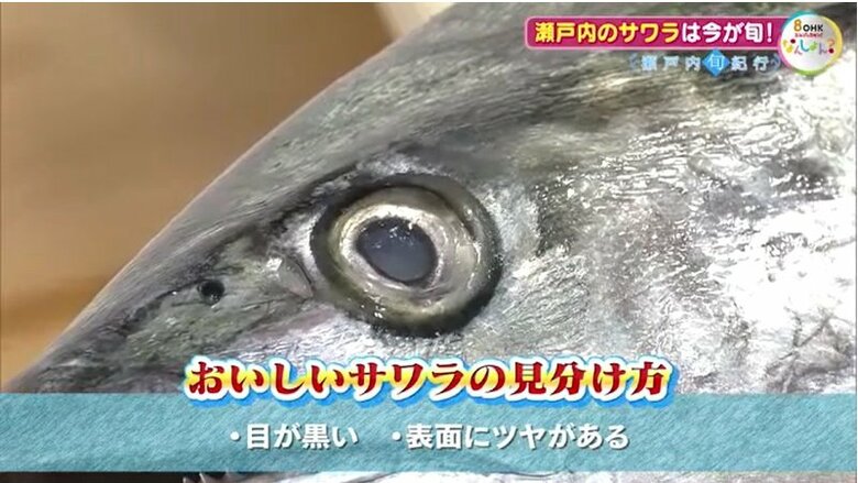 おいしいサワラの見分け方
