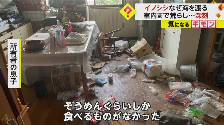 イノシシによって台所が荒らされた住宅