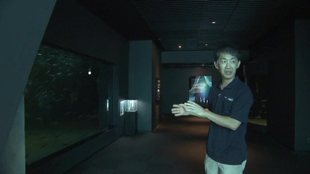 アクアマリンふくしまの山内信弥さん